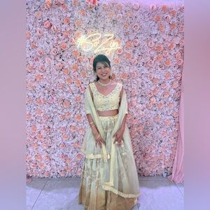 Beautiful Indian Traditional Lehenga